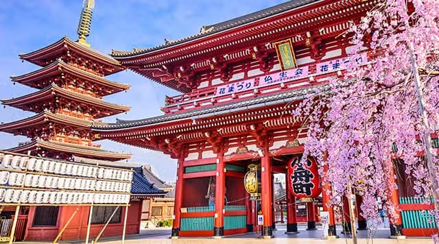 Contradict Tour of Asakusa & Tokyo Skytree — Tradition Meets the Future